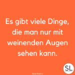 100 »Augen Sprüche« Schöne Fenster zur Seele