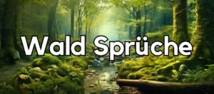 100 »Freudige« Garten Sprüche [Die inspirieren]